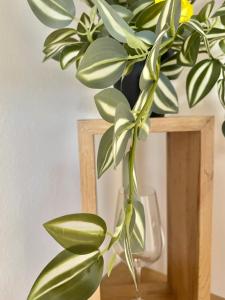 Topel dom v centru mesta 5