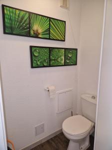 Appartements Superbe appartement en residence avec piscine : photos des chambres