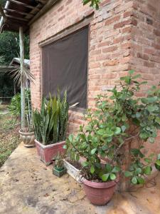 Ecocentro Brasil - Bangalô 4