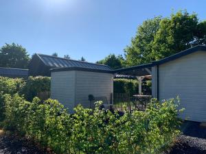Tiny House op de Veluwe Epe