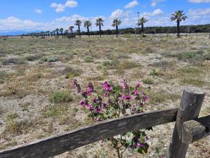 La Casote du Pêcheur Bord détang 9 Personnes Clim
