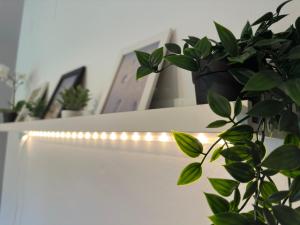 Ospedale Cisanello Bulls House