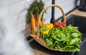 Cassa Antica with outdoor pool, near Poreč