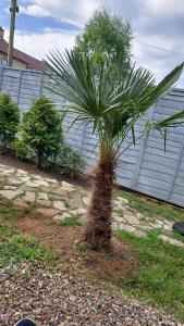 Mini hotel with home facilities in Hamilton West