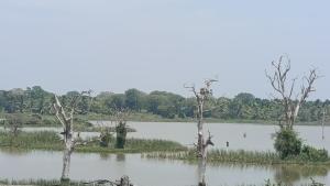 Sandaliya Rest - සඳලිය රෙස්ට්