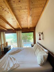 Shasi Eco Lodge
