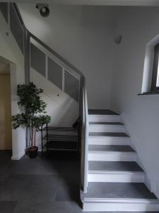 Parkblick Apartment Weißenthurm Nähe Koblenz