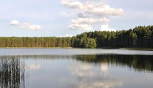 Wczasy na Kaszubach, balia, sauna, jezioro