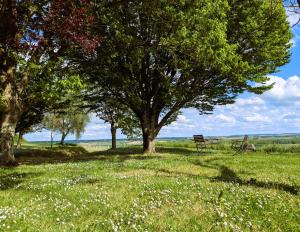 Maisons de vacances Les Roses Tremieres : photos des chambres