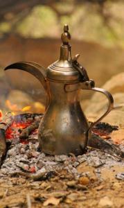 Bedouins camp in Dana