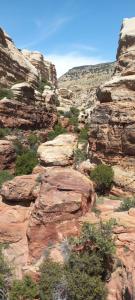 Camping in Dana