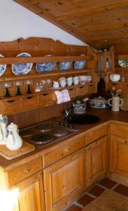 Apartment with fireplace in Altenmarkt