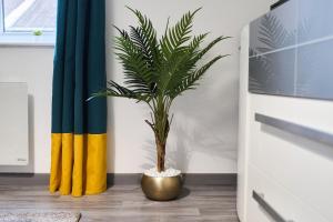 Appartement proche centre ville - 1 a 4 personnes