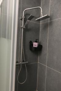 Appartements Golden House - Gare & Centre : photos des chambres