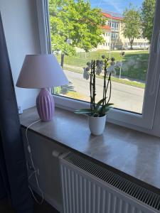 Ferienwohnung Osterode