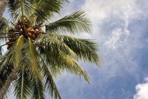 The Beach Villa on Newell Beach