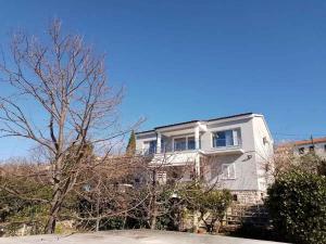 Apartment in Dramalj 53910