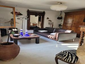 Majestic holiday home in Laroque with hot tub