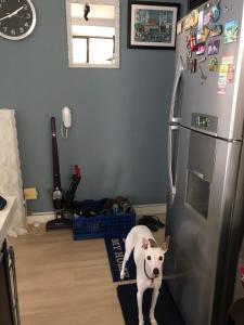 PierHardRock next privilege