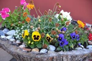 B&B Antica Botte Sassari img45