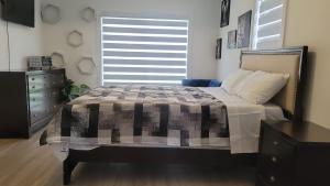 Modern Suite Near Hamilton Airport