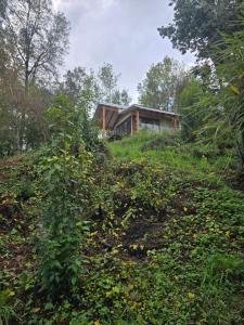 Suite Departamento pareja matrimonio