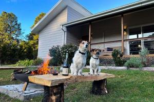 Creek View Cottage, Fitzroy Falls