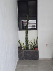 Casa el Nido, Cozumel