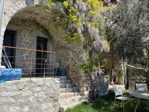 Maisons de vacances Bastide Peille village panoramic view and garden : photos des chambres