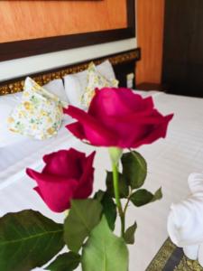 Mountain Creek Wellness Resort