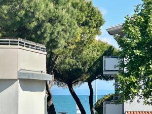 Sweet dreams apartment by the beach