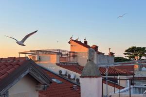 Tramonto sul mare Piran 
