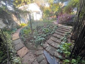 LightHouse Sanctuary