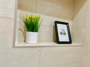 Central Spacious Flat with Balcony City View