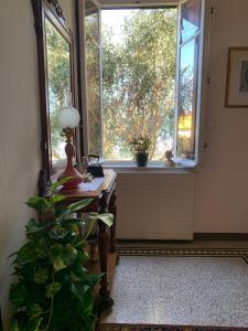 Villa Angelina Historic Residence - Lucca Centro