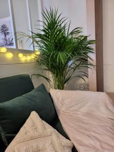 Appartements Very nice apartment in Mulhouse Lambert city center : Appartement 1 Chambre