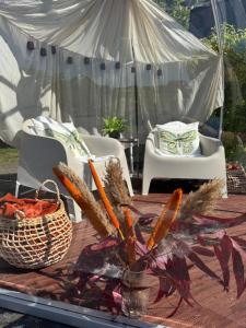 Tiny House Indy-Blue