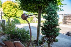 Complexes hoteliers Oasis Les Jardins des Sables d'Olonne : photos des chambres
