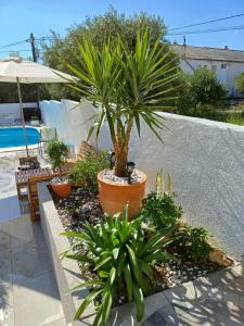 Casa Surya - Apartments with sea view and swimming pool