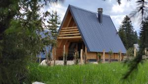 Mountain house MB Žabljak