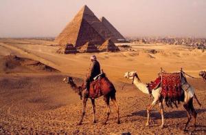 Safari pyramids view inn