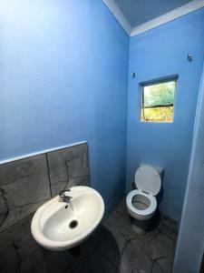 Evergreen guest house