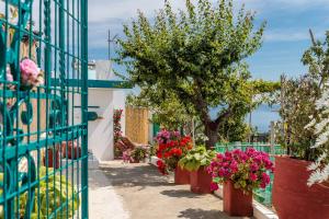 Anatoli Peak Cottage