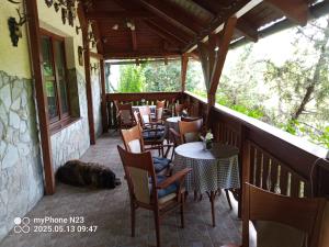 penzión ARTUR - Partizánske