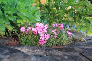 Kamienny Zakątek w Górach Bystrzyckich