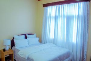 Safari dwells apartment