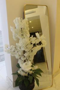 بيت بغرفتين نوم وسطح خاص