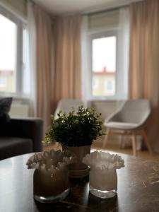 Newly refurbished Apartment