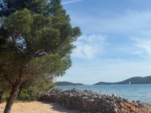 OLIVE PREMIUM Mobile Home