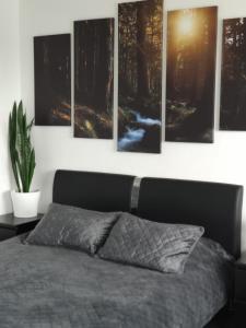 Central studio apartment